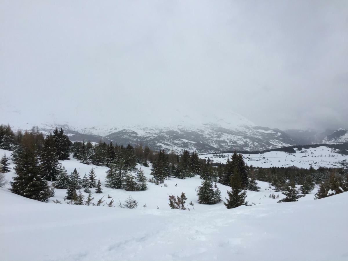 La Joue Du Loup, Aux Pieds Des Pistes Et Vue Sur Montagnes Daire Dış mekan fotoğraf
